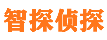 内乡智探私家侦探公司